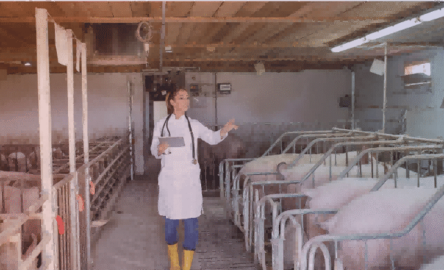 BMV SMART AGRI (4)