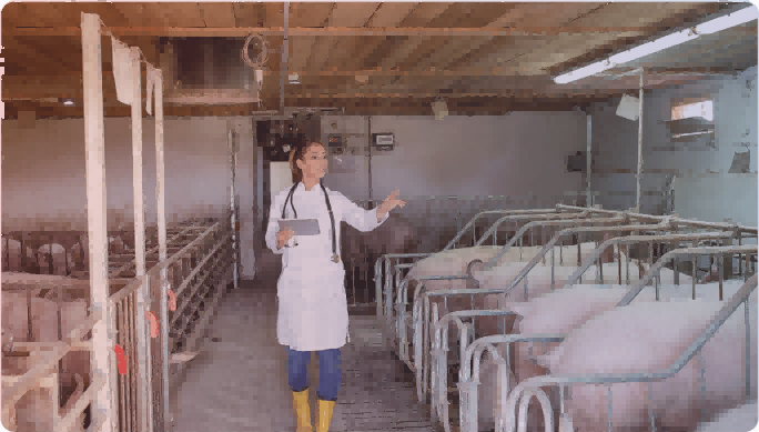 BMV SMART AGRI (4)