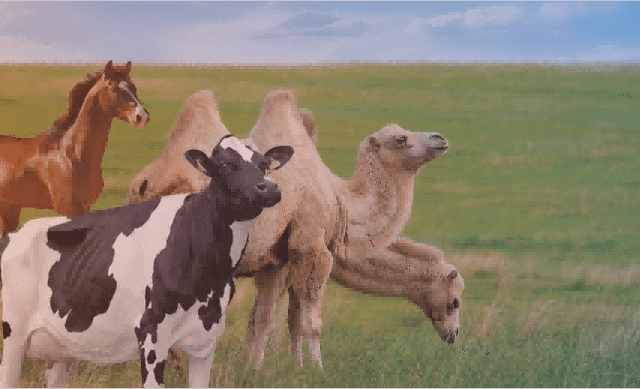 BMV SMART AGRI (6)