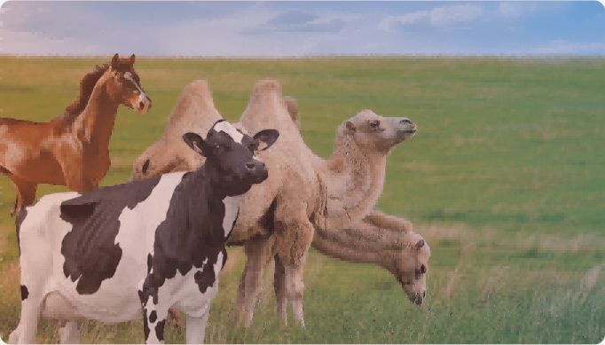 BMV SMART AGRI (6)
